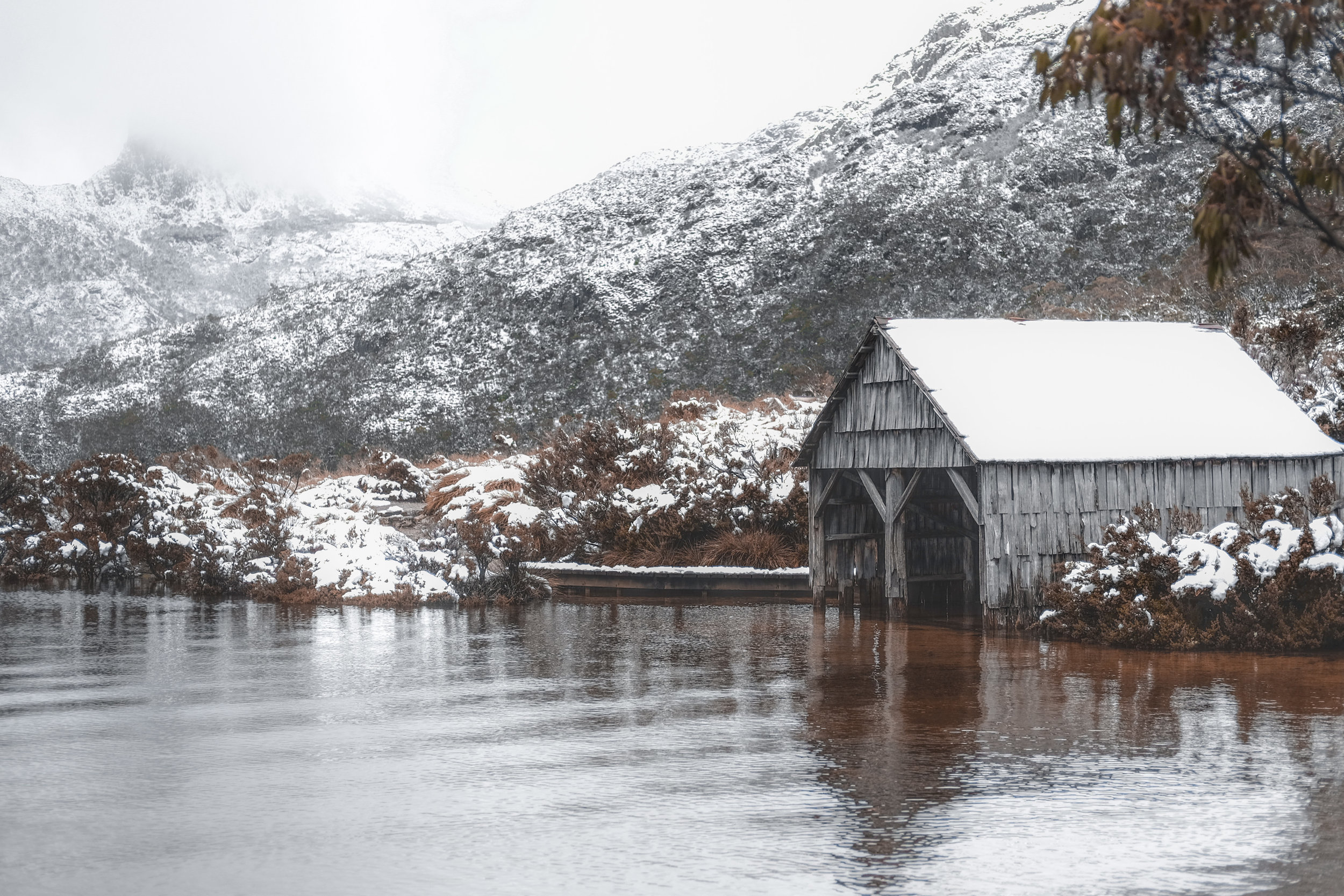 Snowy day at Cradle Mountain, Tasmania