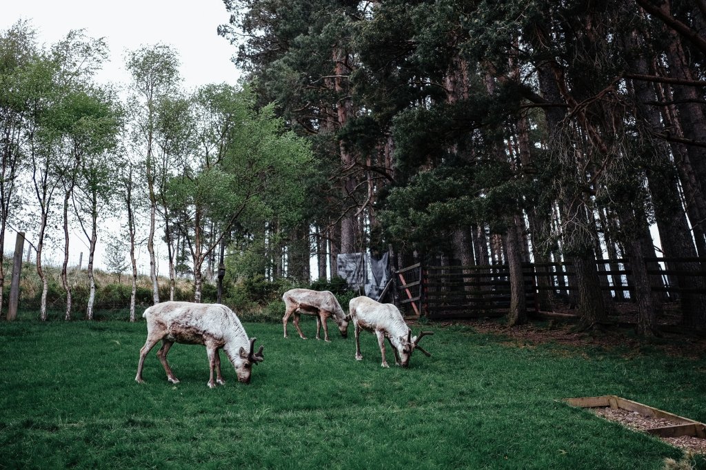 Day 6 in Cairngorms, Ballater and Aberdeen,&nbsp;Scotland